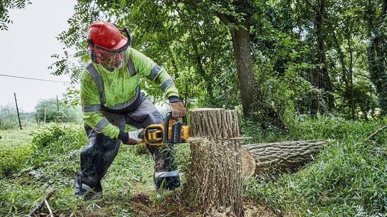 man using 18" DeWalt Chainsaw