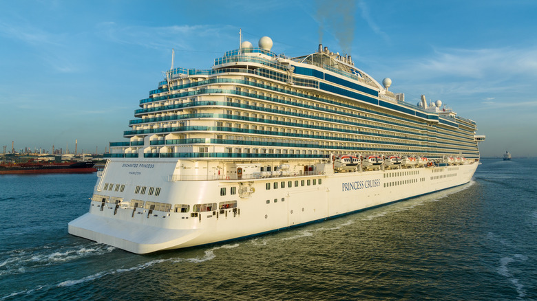 Enchanted Princess cruise ship on water from rear right